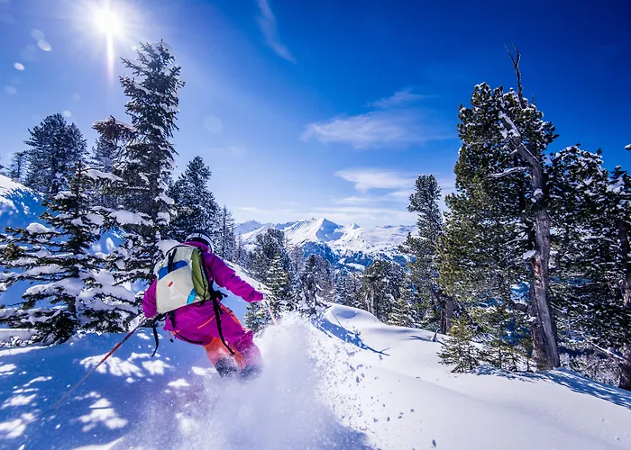 Отель Reineke 3*